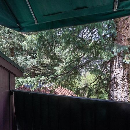 Manitou Lodge 11 By Alpine Lodging Telluride Exterior foto